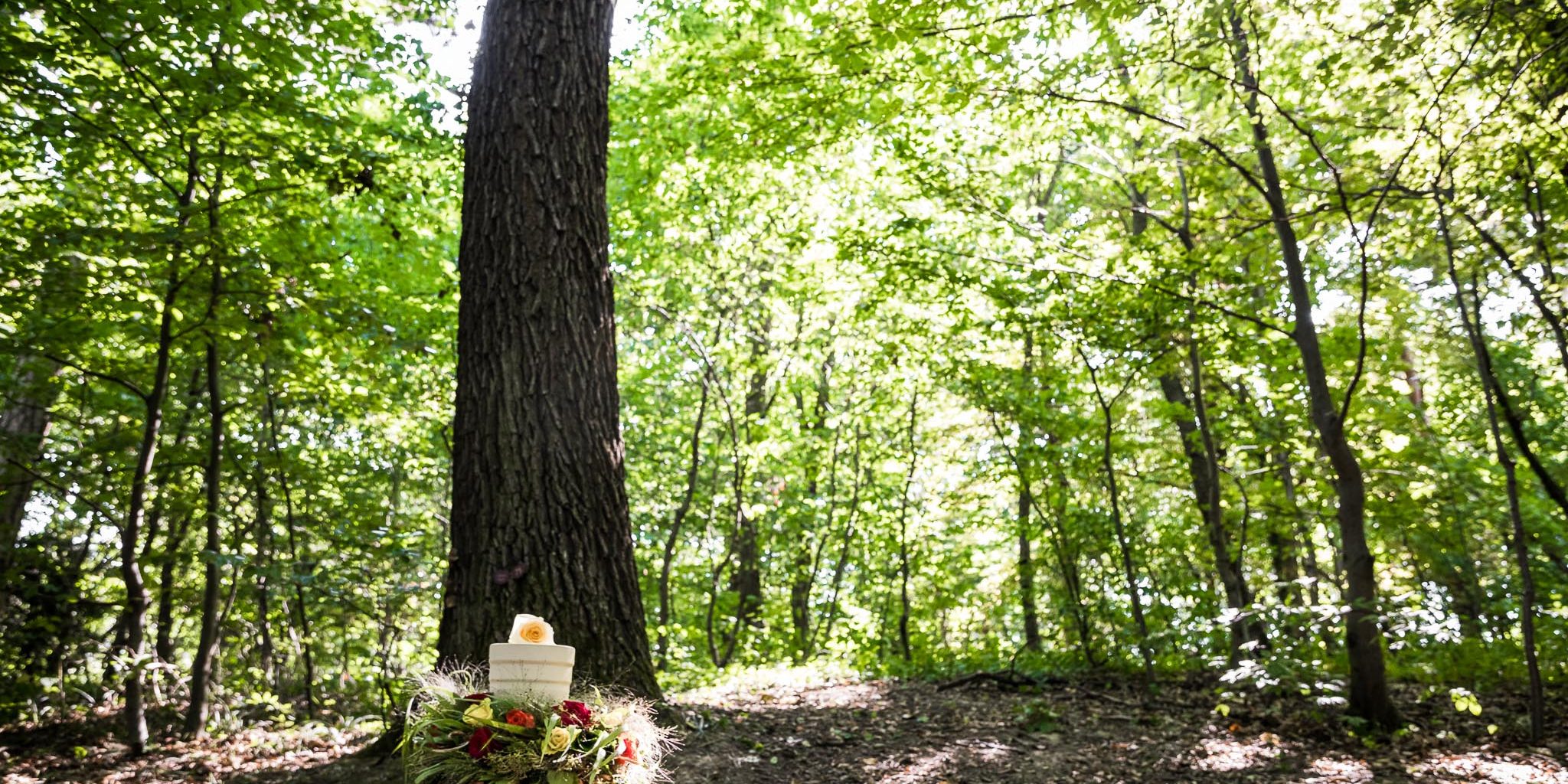 Corona-Krise: Update vom 31.03.2021