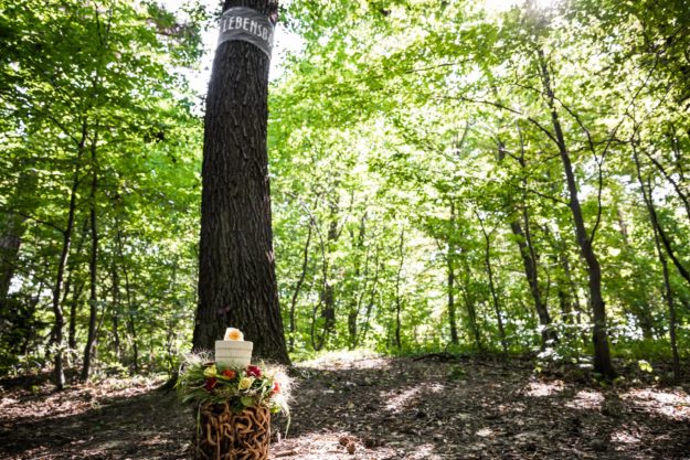 Corona-Krise: Update vom 31.03.2021