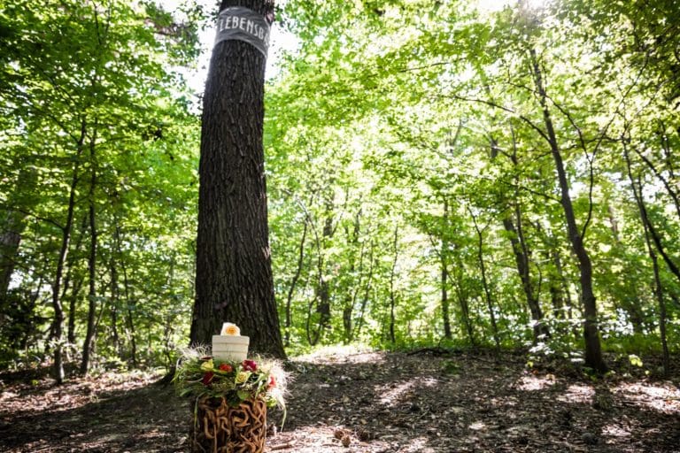 Corona-Krise: Update vom 31.03.2021