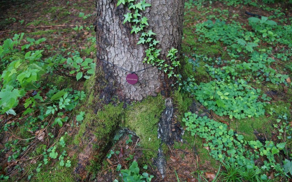 Baumbestattung Kundl Themenbaum