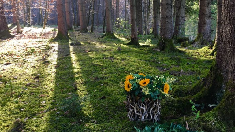 Wald der Ewigkeit Kundl