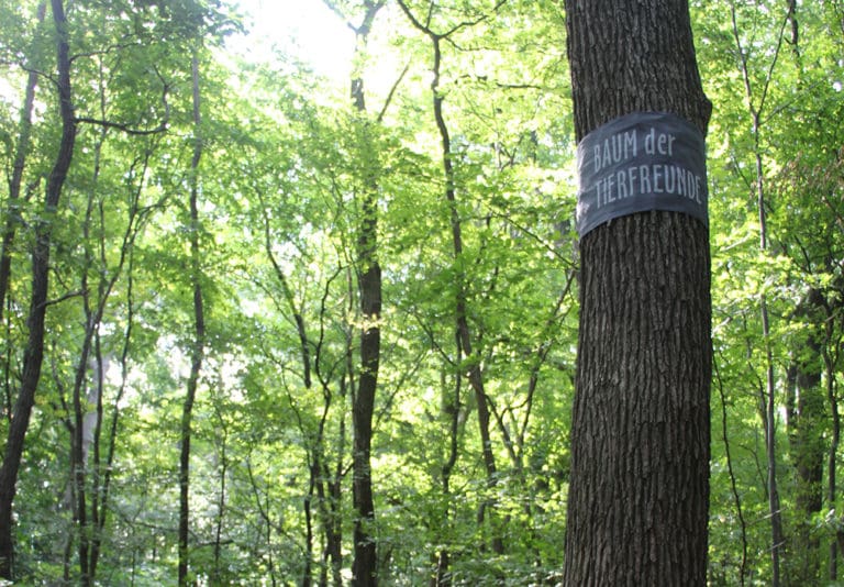 Baumbestattung im Wald der Ewigkeit in Gießhübl / Mödling bei Wien Waldfriedhof_Naturbestattung Gmbh Zadrobilek