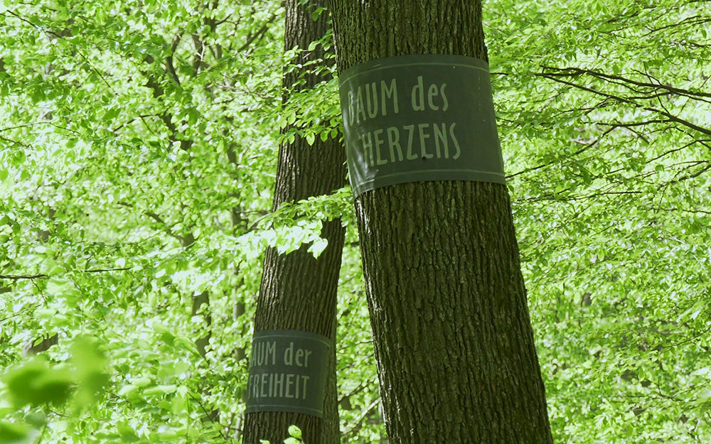 Baumbestattung im Wald der Ewigkeit in 1140 Wien Mauerbach_Naturbestattung Gmbh Zadrobilek