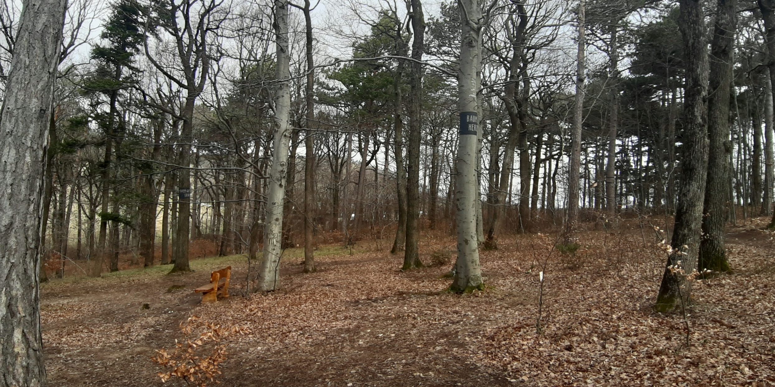 Sturmentwarnung Wald der Ewigkeit Naturbestattung GmbH