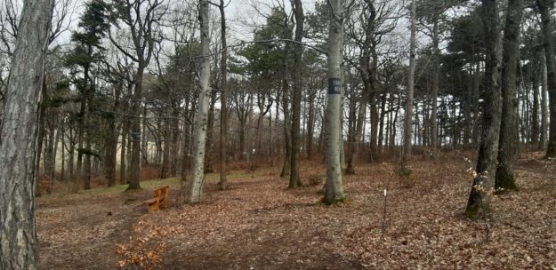 Sturmentwarnung Wald der Ewigkeit Naturbestattung GmbH
