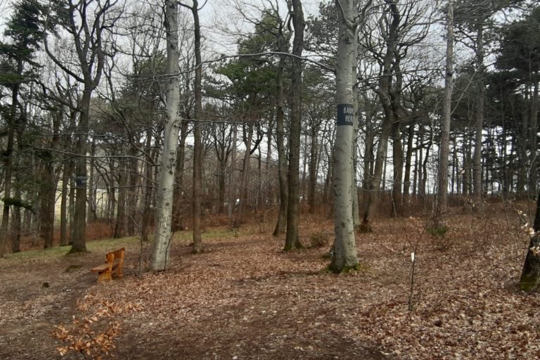 Sturmentwarnung Wald der Ewigkeit Naturbestattung GmbH