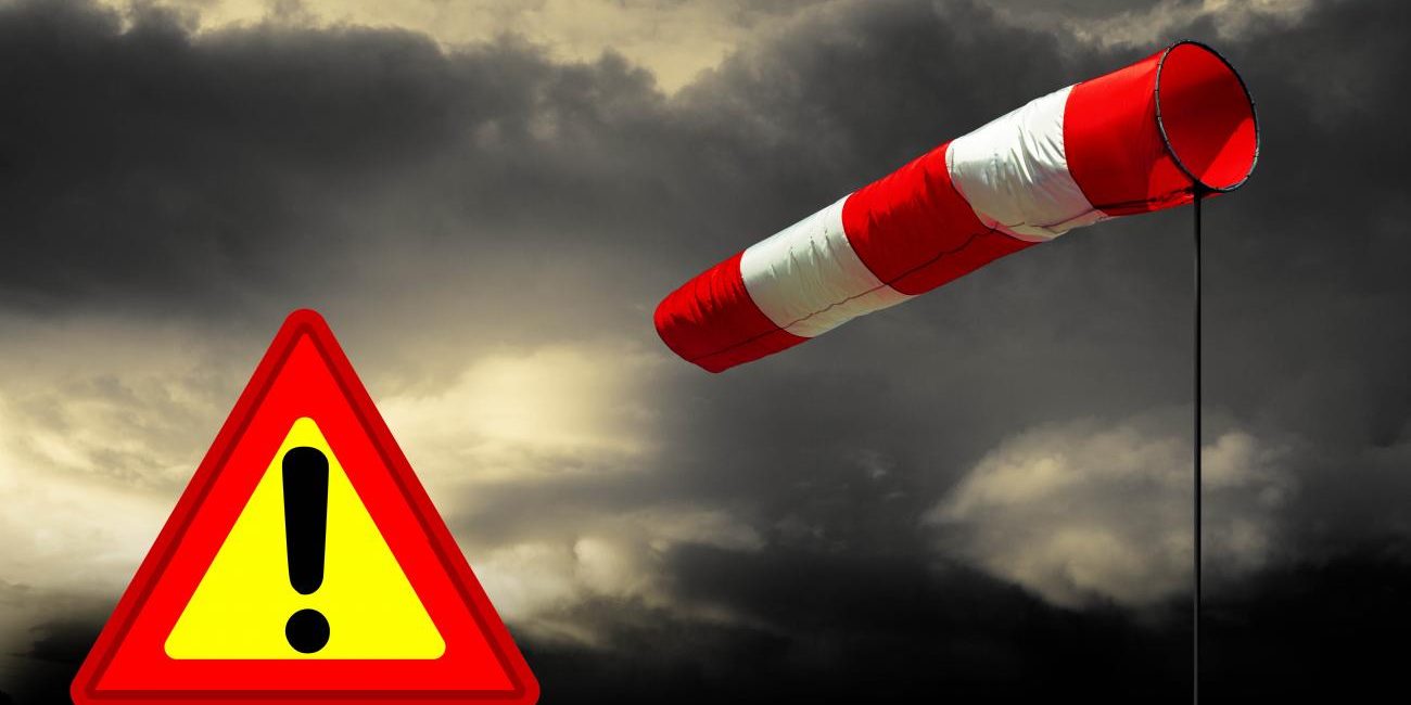 Vorsicht im Wald der Ewigkeit! Sturmwarnung für Niederösterreich und Wien