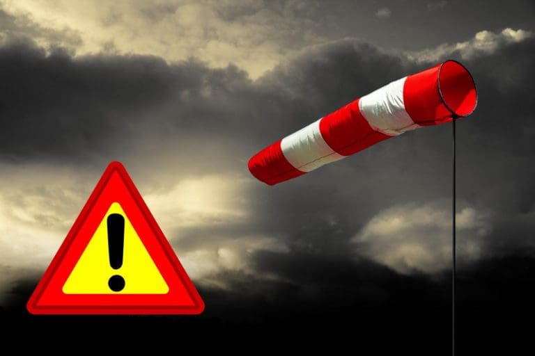 Vorsicht im Wald der Ewigkeit! Sturmwarnung für Niederösterreich und Wien