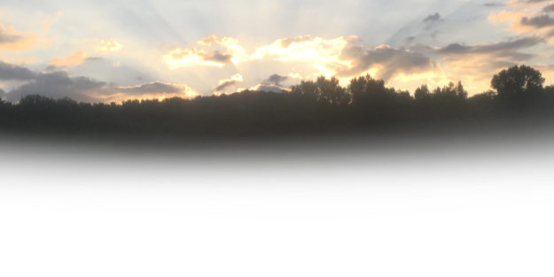 Trauerbegleitung in der Corona-Krise Naturbestattung Gmb