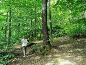 Die Natur im Wald der Ewigkeit 1140 Wien / Mauerbach genießen Naturbestattung GmbH