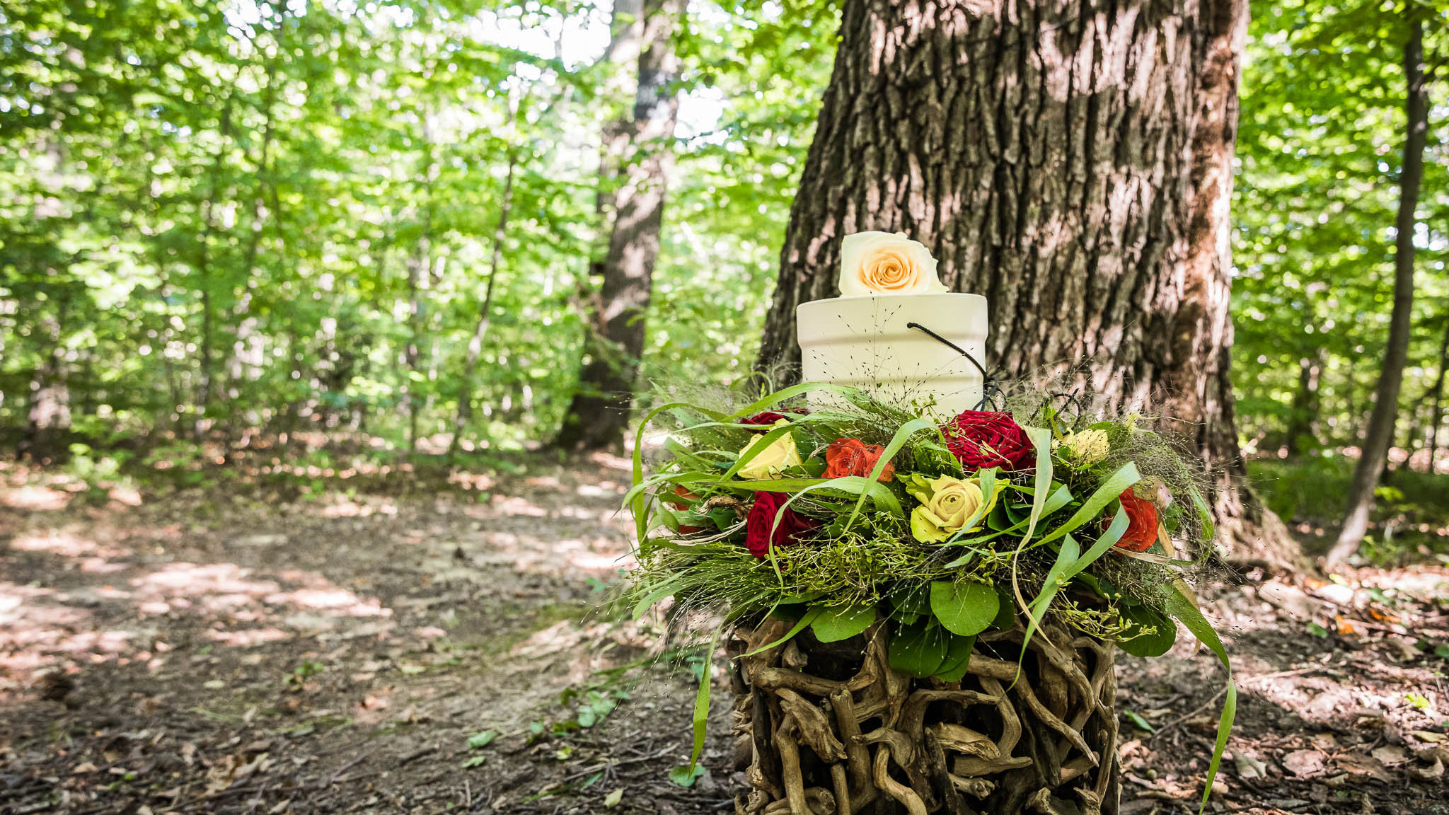 Baumbestattung Wald der Ewigkeit Naturbestattung GmbH Zadrobilek Baumbestattung Wald der Ewigkeit Naturbestattung GmbH Zadrobilek