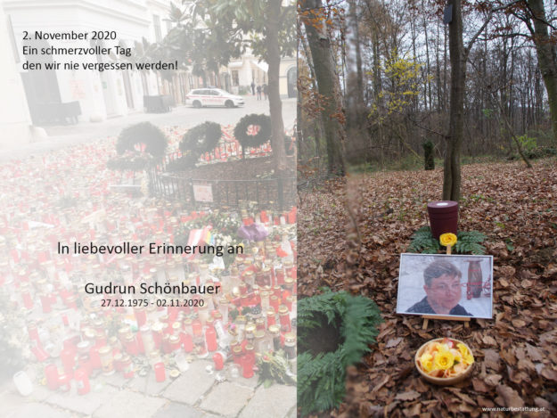 ln liebevoller Erinnerung an Gudrun Schönbauer Naturrbestattung GmbH