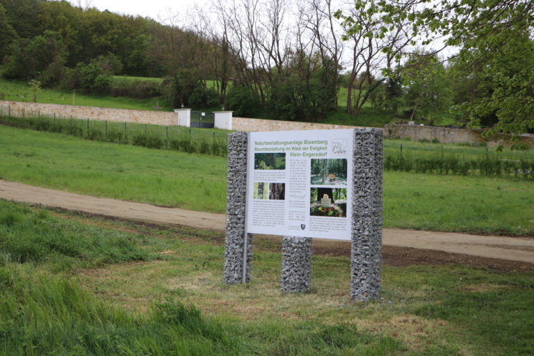 Beisetzungen im Wald der Ewigkeit Bisamberg weiterhin unverändert möglich