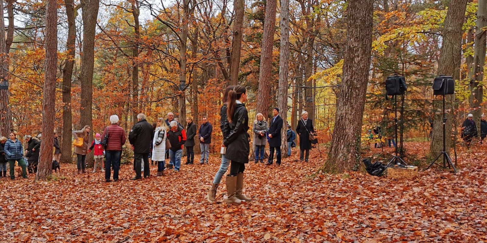 Ein Rückblick an unsere gemeinsame Gedenkfeier 2022 Naturbestattung GmbH