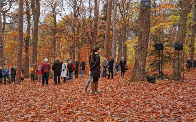 Ein Rückblick an unsere gemeinsame Gedenkfeier 2022 Naturbestattung GmbH